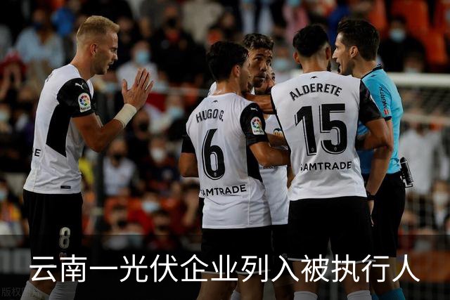 云南一光伏企业列入被执行人