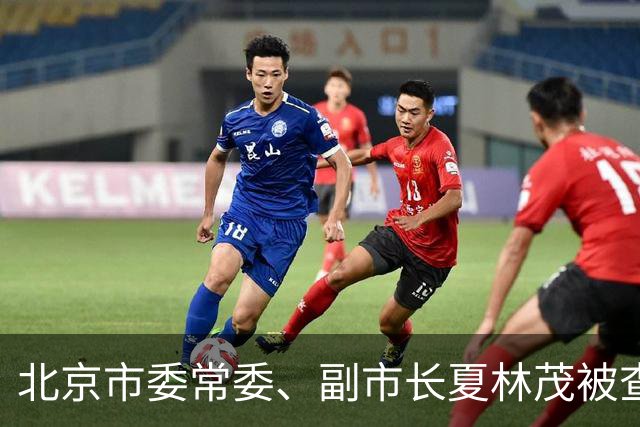 北京市委常委、副市长夏林茂被查