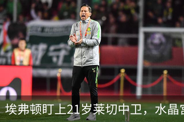 埃弗顿盯上21岁莱切中卫，水晶宫也来抢人
