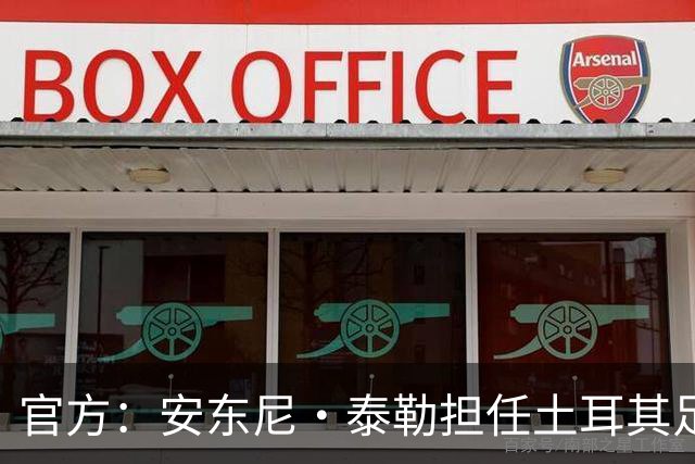 官方：安东尼·泰勒担任土耳其足协裁委会主席