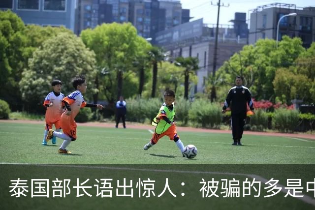 泰国部长语出惊人：被骗的多是中国人，是受害者自己贪心