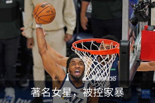 著名女星，被控家暴