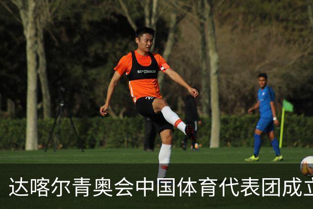达喀尔青奥会中国体育代表团成立-国际在线