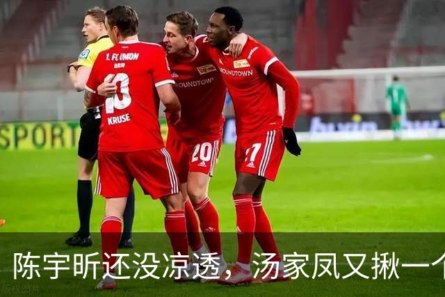 陈宇昕还没凉透，汤家凤又揪一个“精日”人员：竟然还是公司老板
