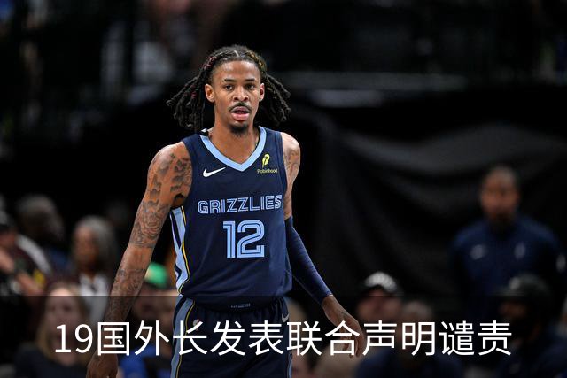 19国外长发表联合声明谴责